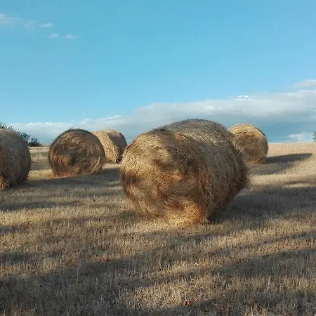 L'uliveto Sul Chianti